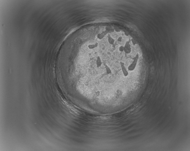 X0000060261409200511241415