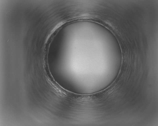 X0000060261410200511241415