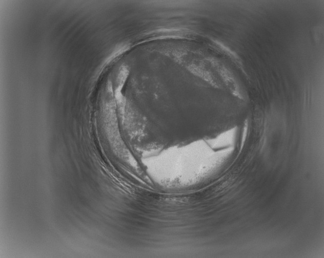 X0000060261411200511241415