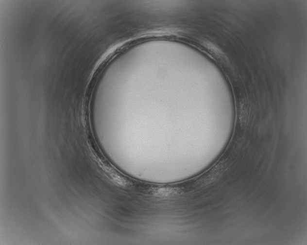 X0000060261412200511241415