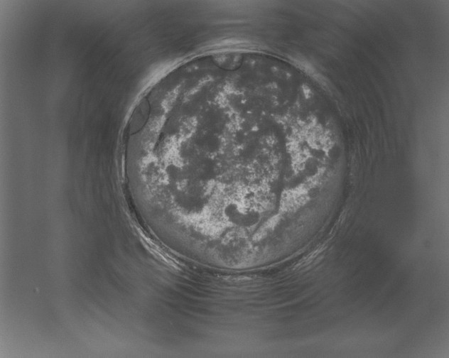 X0000060261413200511241415