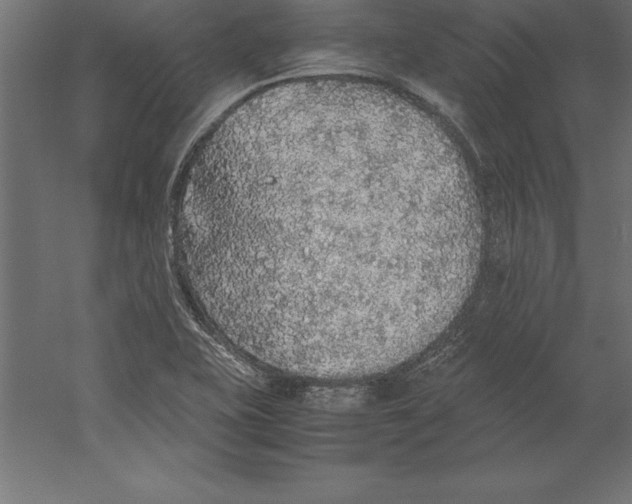 X0000060261415200511241415