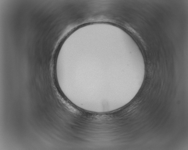 X0000060261416200511241415