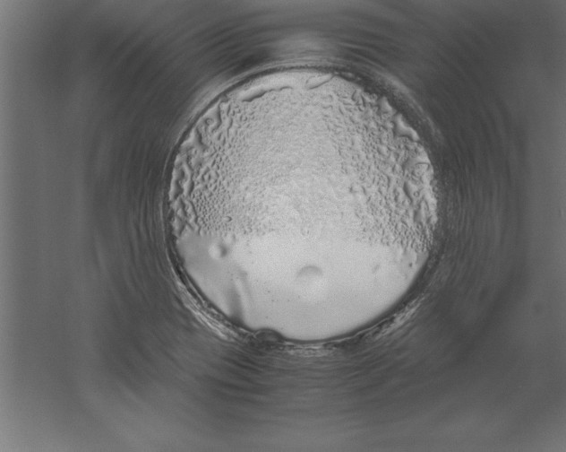 X0000060261417200511241415