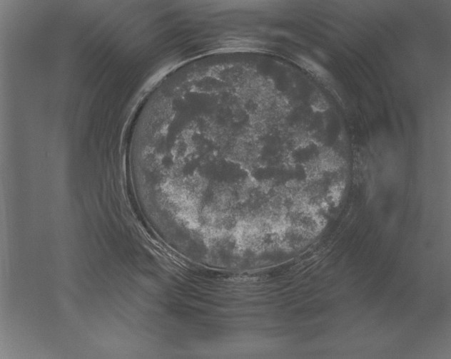 X0000060261419200511241415