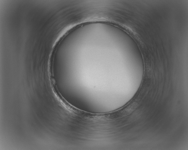 X0000060261422200511241415