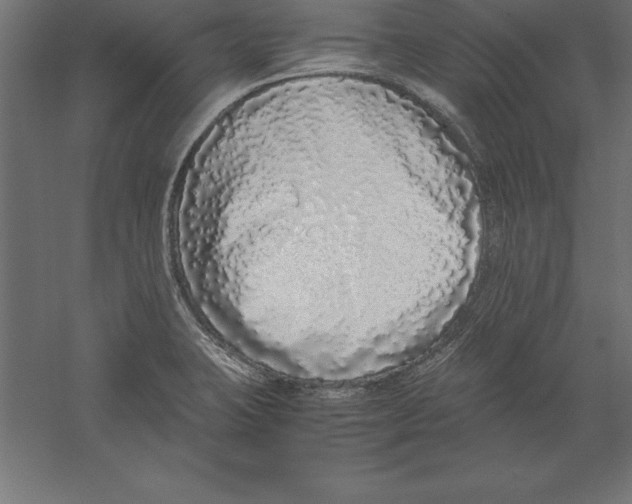 X0000060261423200511241415