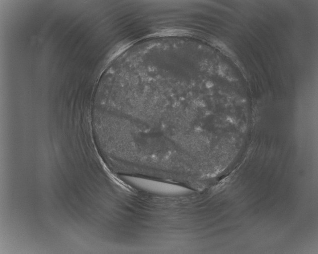 X0000060261425200511241415