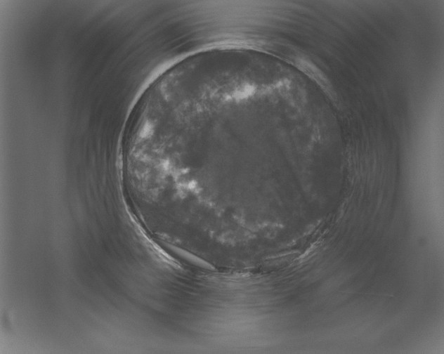 X0000060261428200511241415