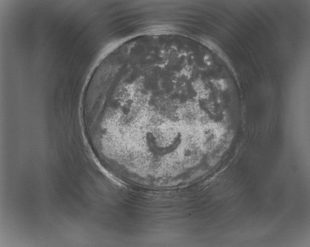 X0000060261429200511241415