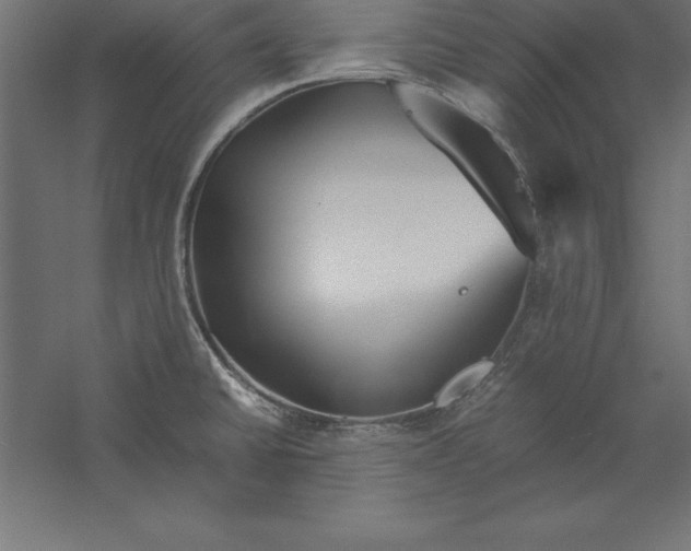 X0000060261430200511241415