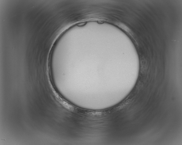 X0000060261431200511241415