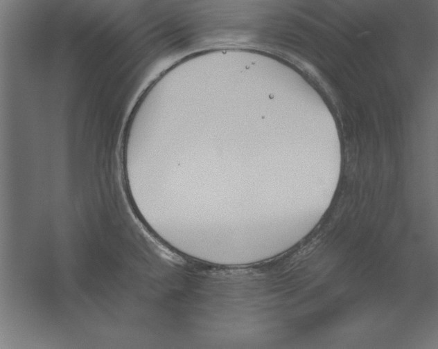 X0000060261432200511241415