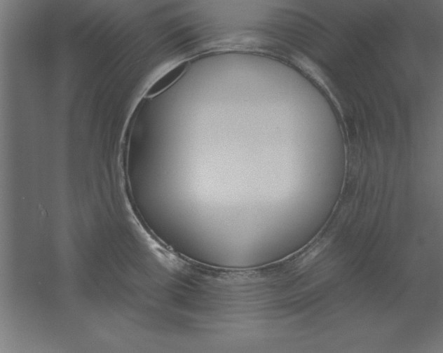 X0000060261434200511241415