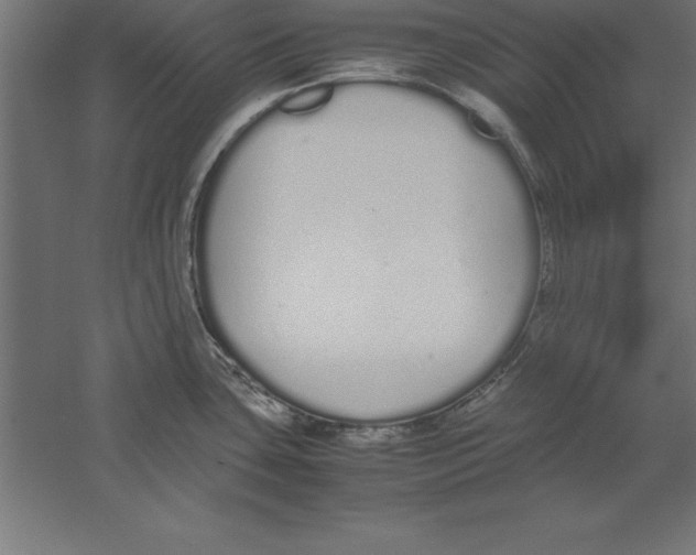 X0000060261435200511241415