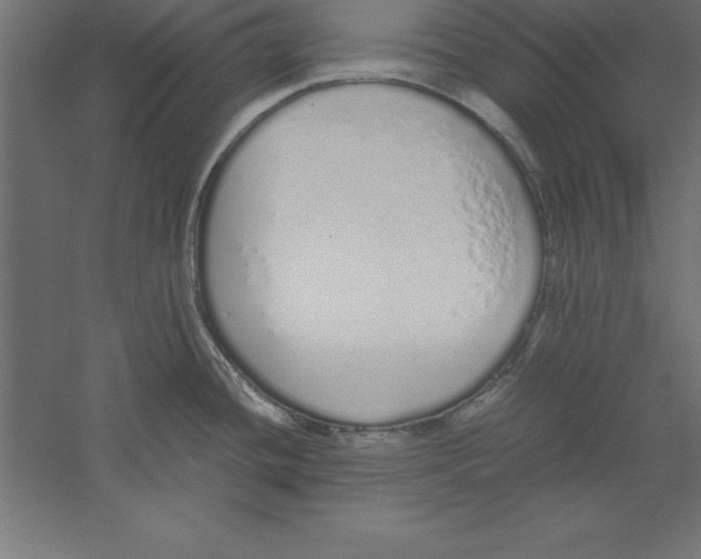 X0000060261436200511241415