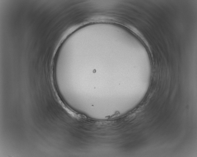 X0000060261437200511241415