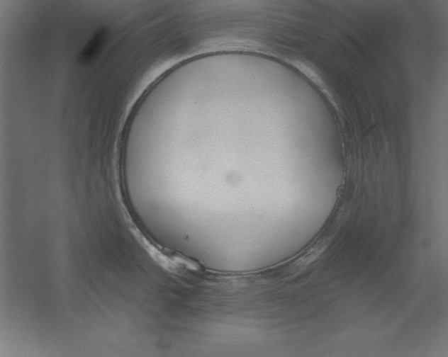 X0000060261438200511241415