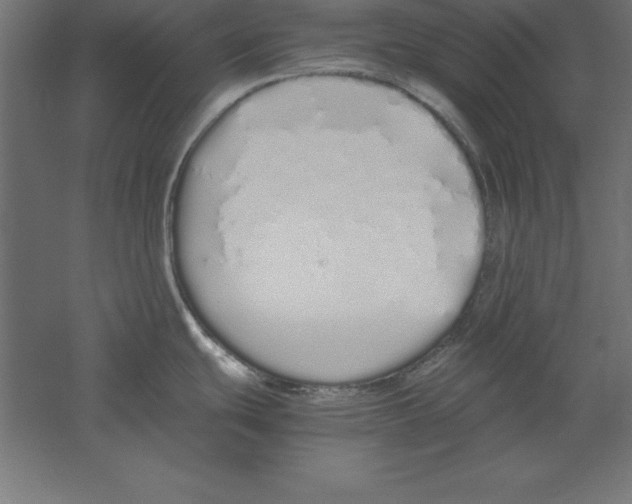 X0000060261439200511241415