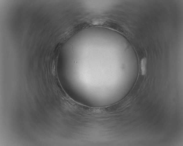 X0000060261443200511241415