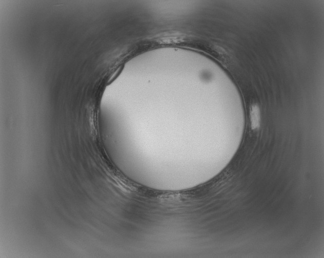 X0000060261444200511241415