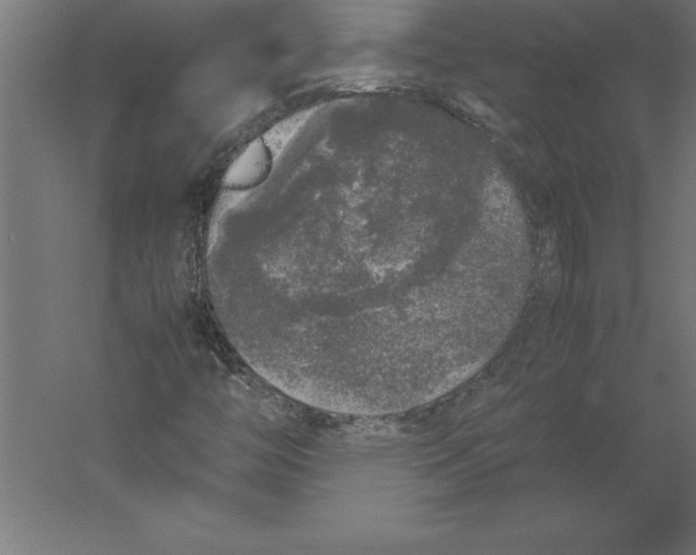 X0000060261446200511241415