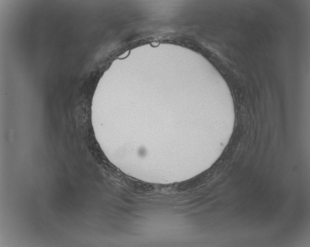 X0000060261447200511241415