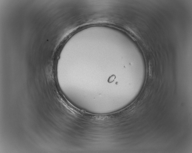 X0000060261452200511241414