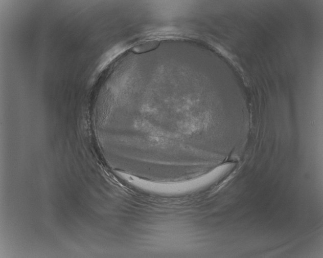 X0000060261453200511241414