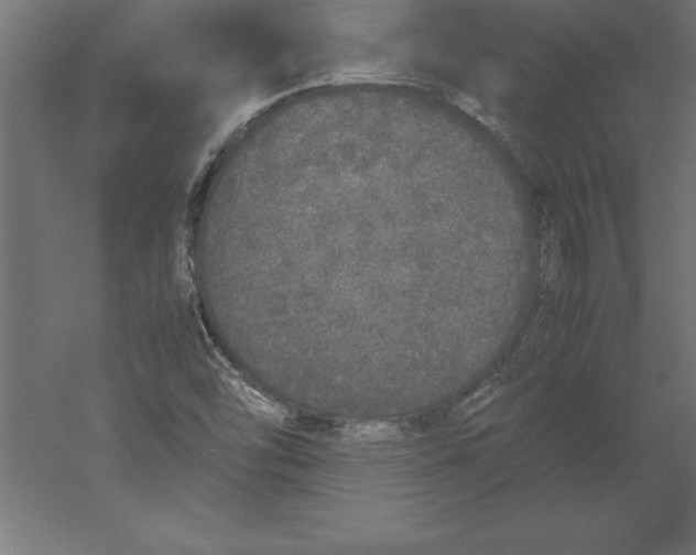 X0000060261454200511241414