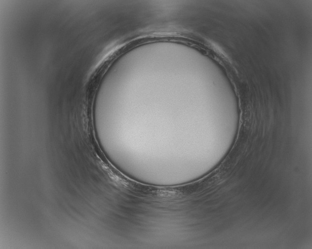 X0000060261456200511241414