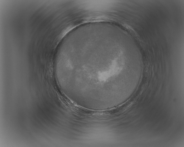 X0000060261457200511241414