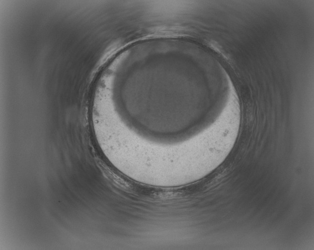 X0000060261459200511241414