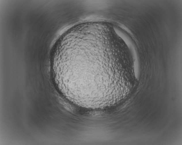 X0000060261461200511241414