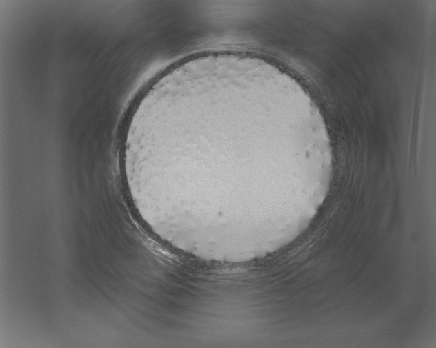 X0000060261462200511241414