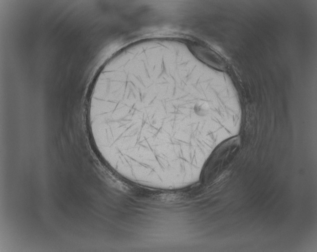 X0000060261463200511241414