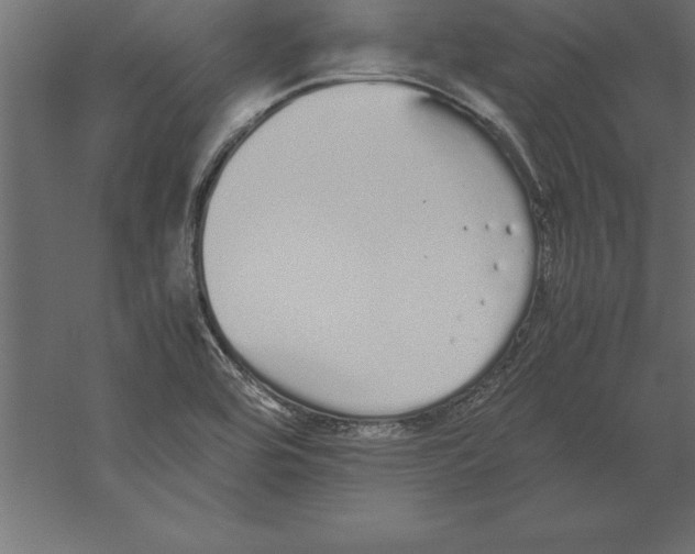 X0000060261464200511241414