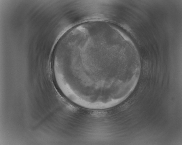 X0000060261466200511241414