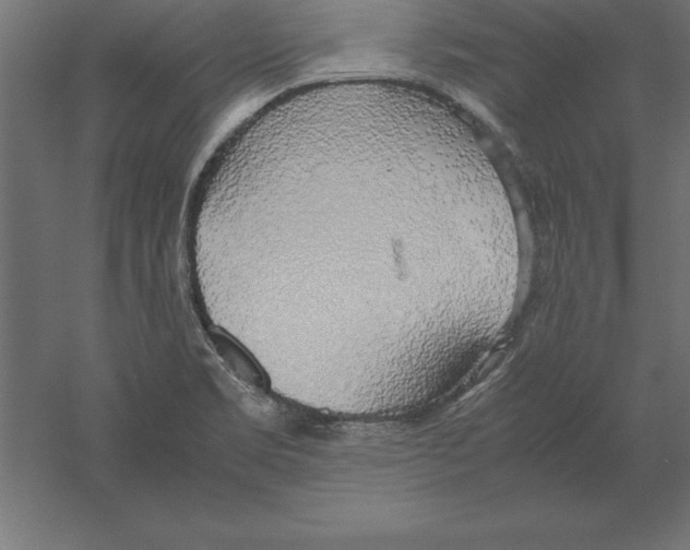 X0000060261469200511241414