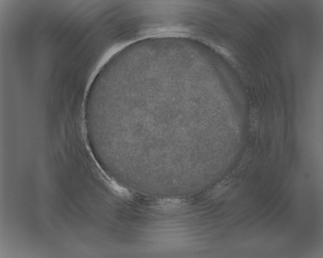 X0000060261470200511241414