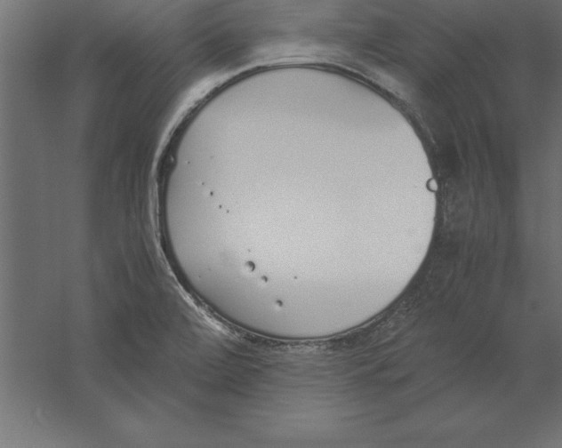 X0000060261472200511241414