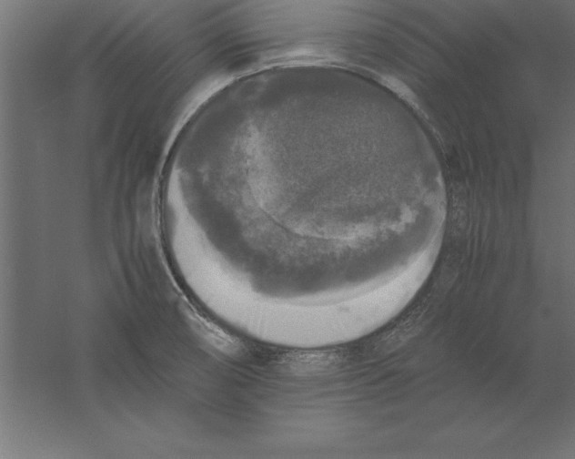 X0000060261474200511241414