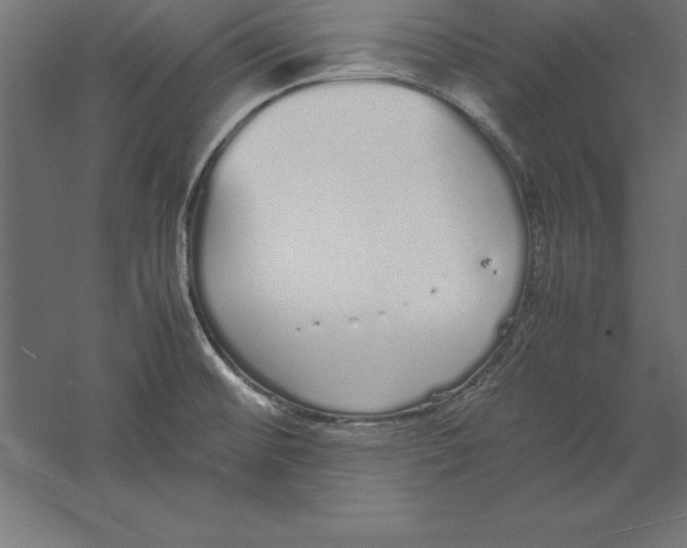 X0000060261476200511241414