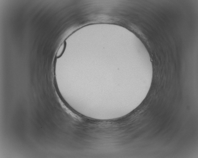 X0000060261479200511241414