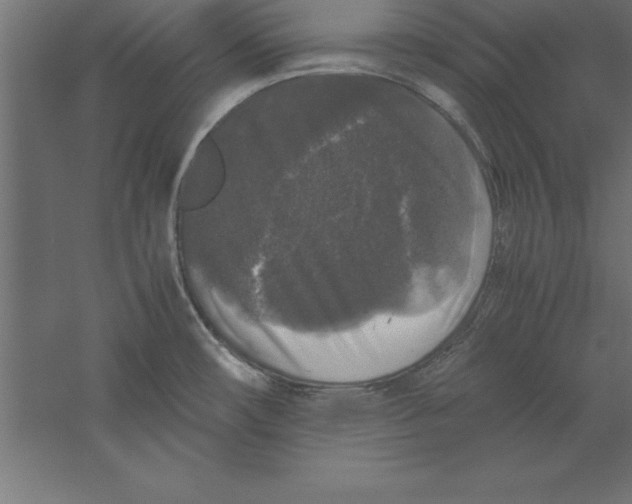 X0000060261482200511241414