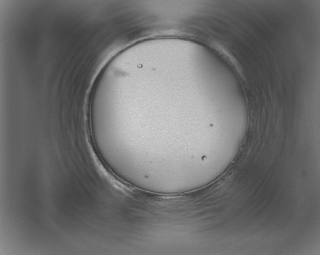 X0000060261483200511241414