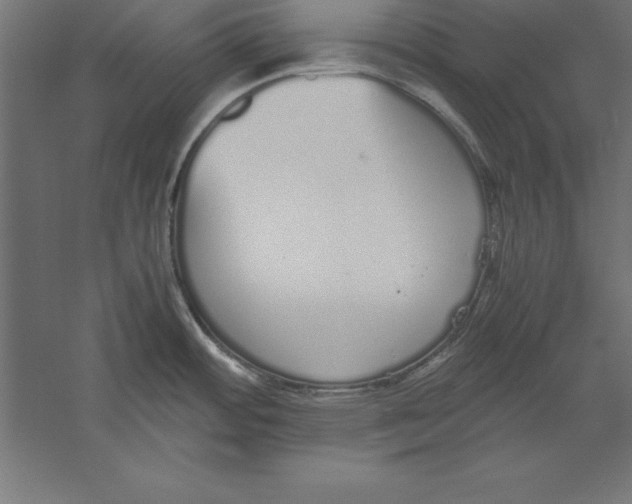 X0000060261484200511241414