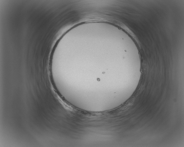 X0000060261485200511241414