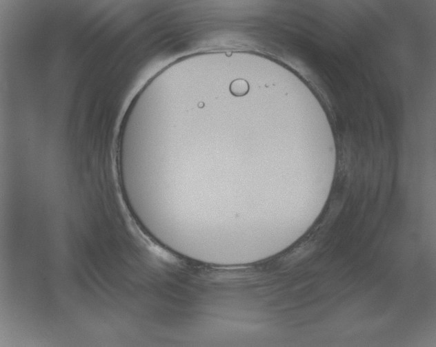 X0000060261486200511241414