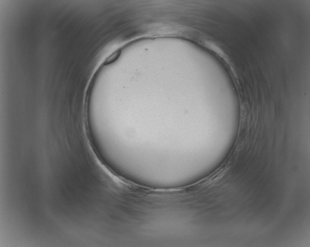 X0000060261487200511241414